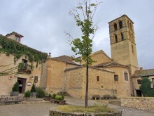 Как мы спасали ёжика и другие прогулки по Кастилии и вокруг Мадрида. Часть 17