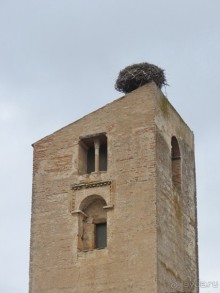 Как мы спасали ёжика и другие прогулки по Кастилии и вокруг Мадрида. Часть 17