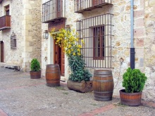 Как мы спасали ёжика и другие прогулки по Кастилии и вокруг Мадрида. Часть 17