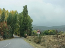 Как мы спасали ёжика и другие прогулки по Кастилии и вокруг Мадрида. Часть 17