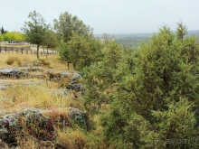 Как мы спасали ёжика и другие прогулки по Кастилии и вокруг Мадрида. Часть 17