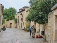 Как мы спасали ёжика и другие прогулки по Кастилии и вокруг Мадрида. Часть 17