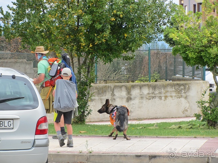 Риоха, Наварра и баски: от Мадрида до Сан-Себастьяна. Часть 3
