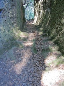 Италия в камне: Рим - Витербо - Гроссето - Питильяно - Сорано ... и опять Рим. Часть 5