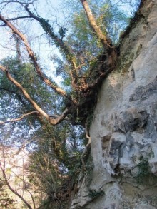 Италия в камне: Рим - Витербо - Гроссето - Питильяно - Сорано ... и опять Рим. Часть 5