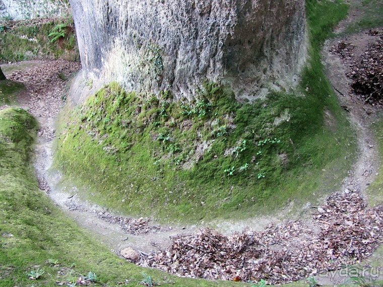 Италия в камне: Рим - Витербо - Гроссето - Питильяно - Сорано ... и опять Рим. Часть 5