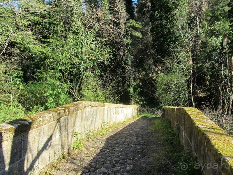 Италия в камне: Рим - Витербо - Гроссето - Питильяно - Сорано ... и опять Рим. Часть 5