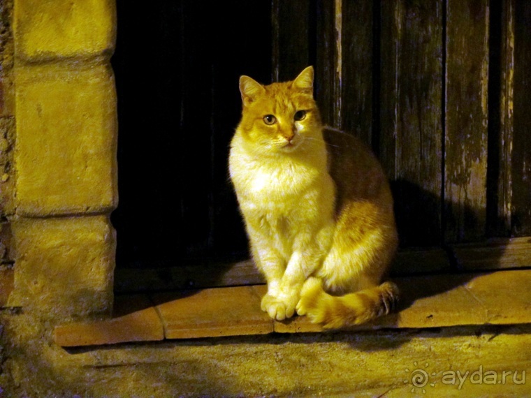 Италия в камне: Рим - Витербо - Гроссето - Питильяно - Сорано ... и опять Рим. Часть 5