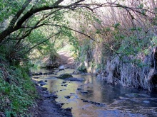 Италия в камне: Рим - Витербо - Гроссето - Питильяно - Сорано ... и опять Рим. Часть 5