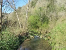 Италия в камне: Рим - Витербо - Гроссето - Питильяно - Сорано ... и опять Рим. Часть 5