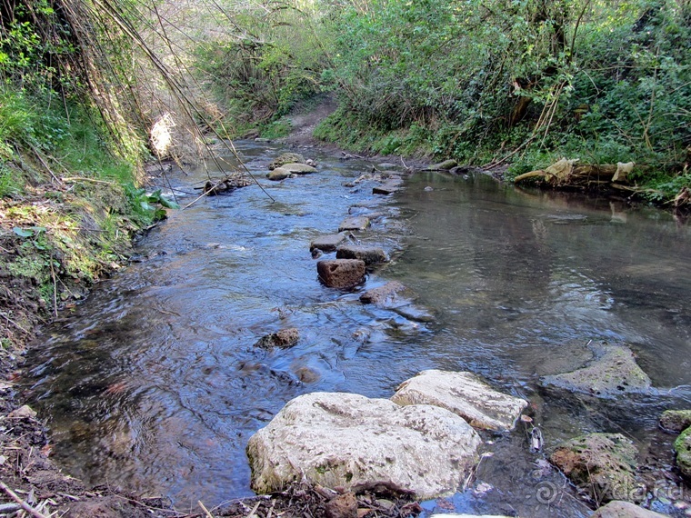 Италия в камне: Рим - Витербо - Гроссето - Питильяно - Сорано ... и опять Рим. Часть 5