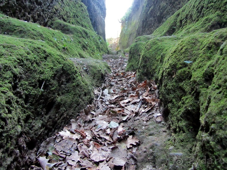 Италия в камне: Рим - Витербо - Гроссето - Питильяно - Сорано ... и опять Рим. Часть 5