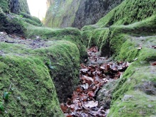 Италия в камне: Рим - Витербо - Гроссето - Питильяно - Сорано ... и опять Рим. Часть 5