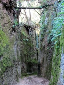 Италия в камне: Рим - Витербо - Гроссето - Питильяно - Сорано ... и опять Рим. Часть 5