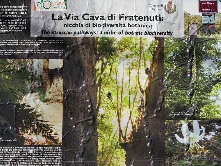 Италия в камне: Рим - Витербо - Гроссето - Питильяно - Сорано ... и опять Рим. Часть 5