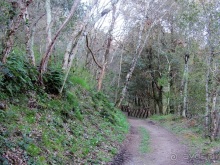 Италия в камне: Рим - Витербо - Гроссето - Питильяно - Сорано ... и опять Рим. Часть 5