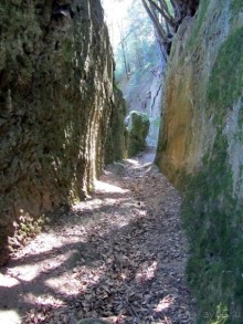 Италия в камне: Рим - Витербо - Гроссето - Питильяно - Сорано ... и опять Рим. Часть 5