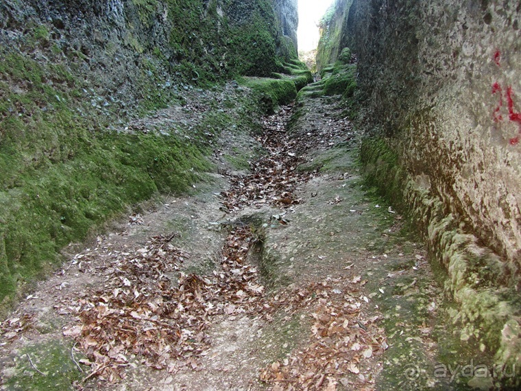 Италия в камне: Рим - Витербо - Гроссето - Питильяно - Сорано ... и опять Рим. Часть 5