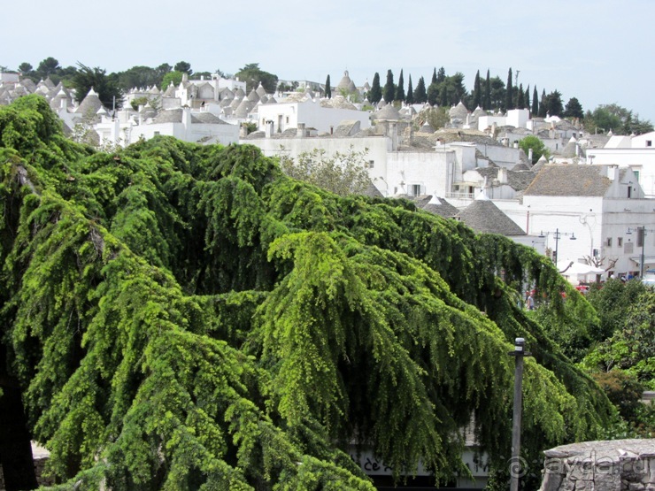 Апулия и Матера – впечатления без погружения. Альберобелло