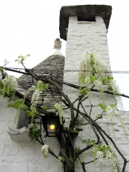 Апулия и Матера – впечатления без погружения. Альберобелло