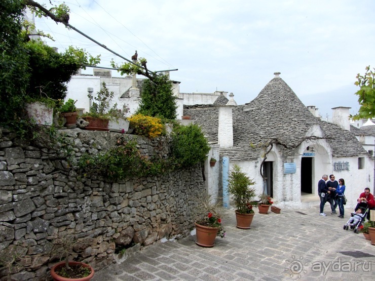 Апулия и Матера – впечатления без погружения. Альберобелло