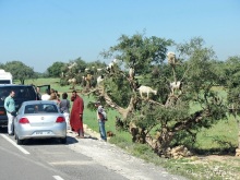 Возвращение на Восток: Марокко без мороки, или страна, которая не напрягает. Часть 8
