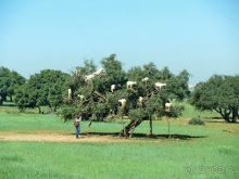 Возвращение на Восток: Марокко без мороки, или страна, которая не напрягает. Часть 8