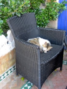 Возвращение на Восток: Марокко без мороки, или страна, которая не напрягает. Часть 8