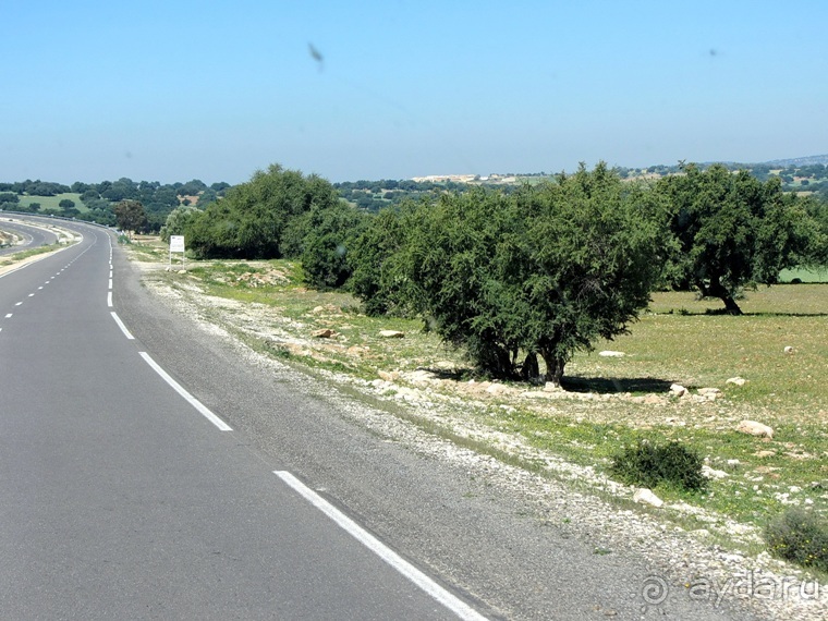 Возвращение на Восток: Марокко без мороки, или страна, которая не напрягает. Часть 8