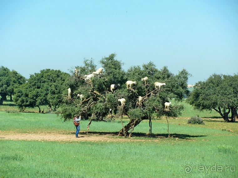 Возвращение на Восток: Марокко без мороки, или страна, которая не напрягает. Часть 8