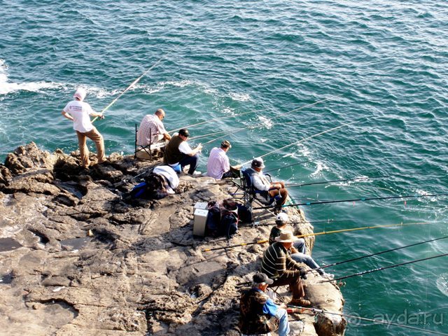 Лиссабон и окрестности. День 6 - Лиссабон (Парк наций, океанариум, Белен) – Кашкайш