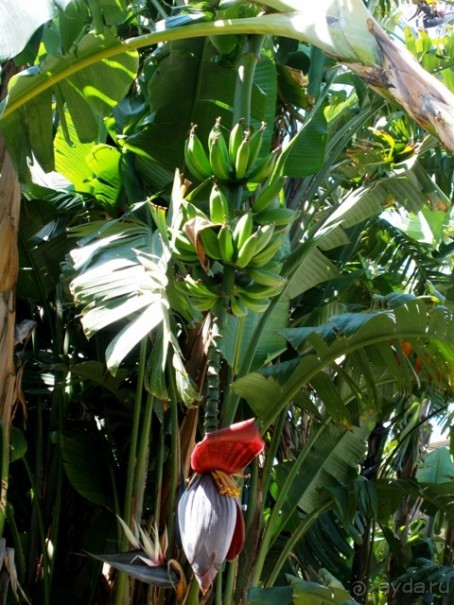 Лиссабон и окрестности. День 6 - Лиссабон (Парк наций, океанариум, Белен) – Кашкайш