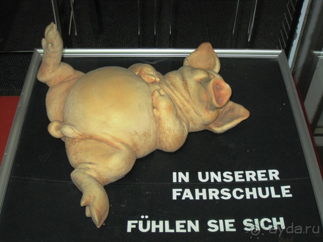 Под небом голубым...октябрьской Баварии (+ Страсбург). Часть 4