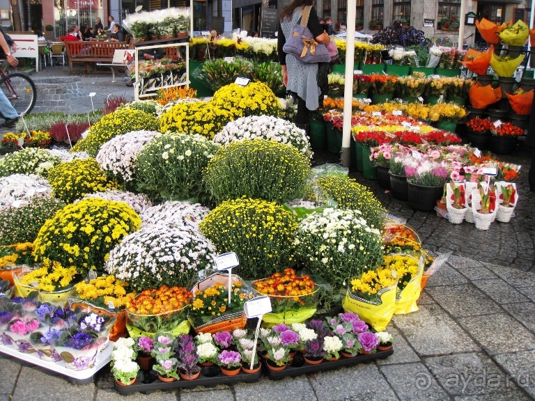 Под небом голубым...октябрьской Баварии (+ Страсбург). Часть 4