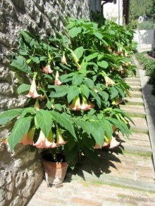 Новая попытка полюбить Италию – Умбрия. Часть 5