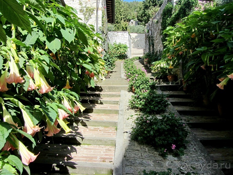 Новая попытка полюбить Италию – Умбрия. Часть 5