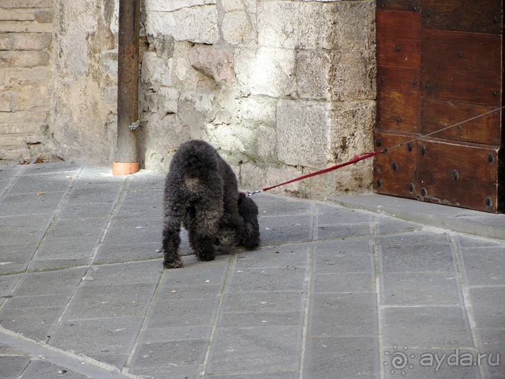 Новая попытка полюбить Италию – Умбрия. Часть 5