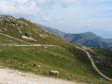 Пицца "североитальянская": Венеция и Венето, Тренто, Падуя и северная Гарда. Часть 9