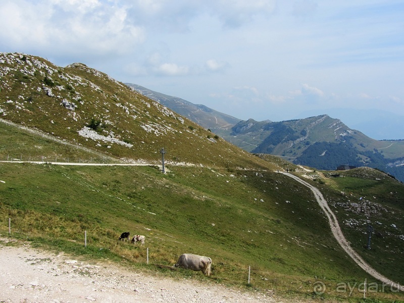 Пицца "североитальянская": Венеция и Венето, Тренто, Падуя и северная Гарда. Часть 9
