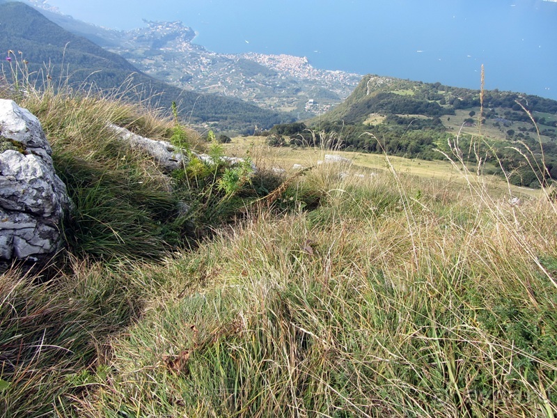 Пицца "североитальянская": Венеция и Венето, Тренто, Падуя и северная Гарда. Часть 9