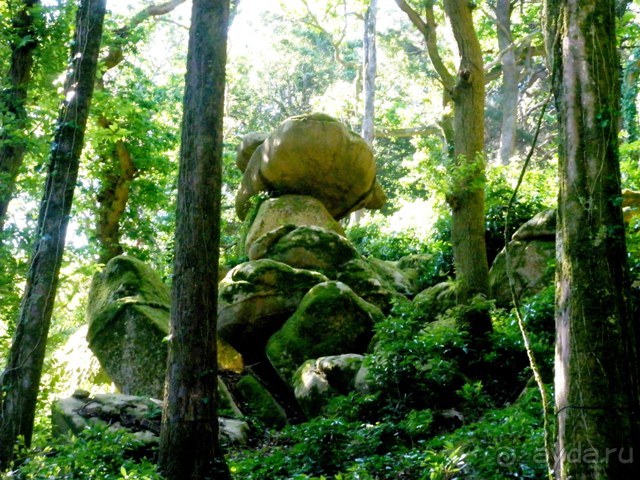 Лиссабон и окрестности. День 2 - Синтра.