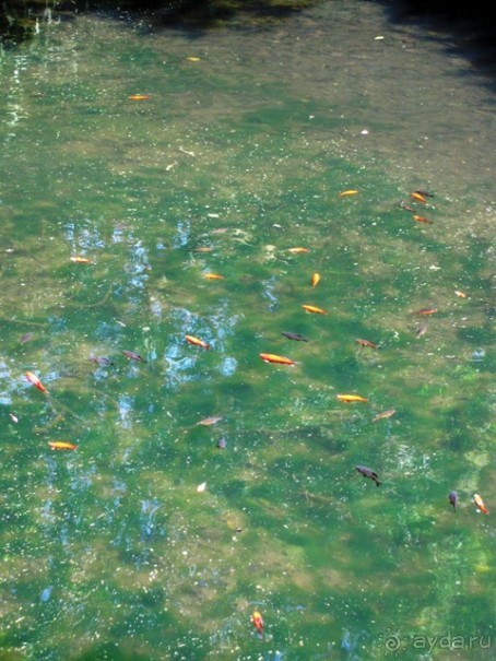 Лиссабон и окрестности. День 2 - Синтра.