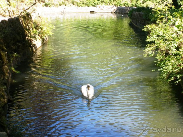 Лиссабон и окрестности. День 2 - Синтра.