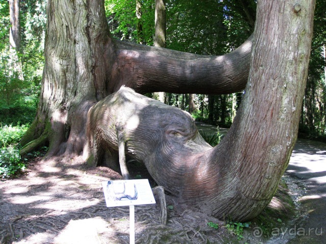 Лиссабон и окрестности. День 2 - Синтра.