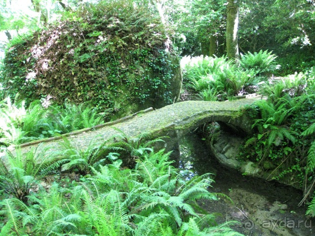 Лиссабон и окрестности. День 2 - Синтра.