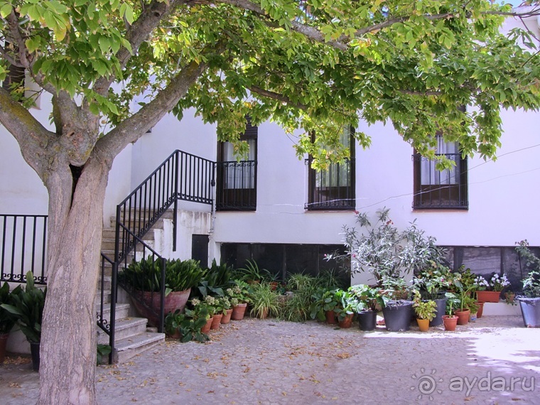 Как мы спасали ёжика и другие прогулки по Кастилии и вокруг Мадрида. Часть 2