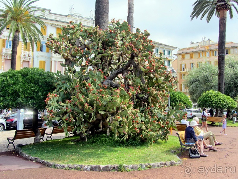 Лигурия западная и восточная. Генуя и окрестности. Часть 3