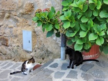 Новая попытка полюбить Италию – Умбрия. Часть 10