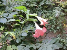 Новая попытка полюбить Италию – Умбрия. Часть 10