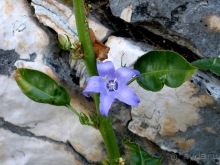 Черногория – октябрьские впечатления (День 2 и День 3)